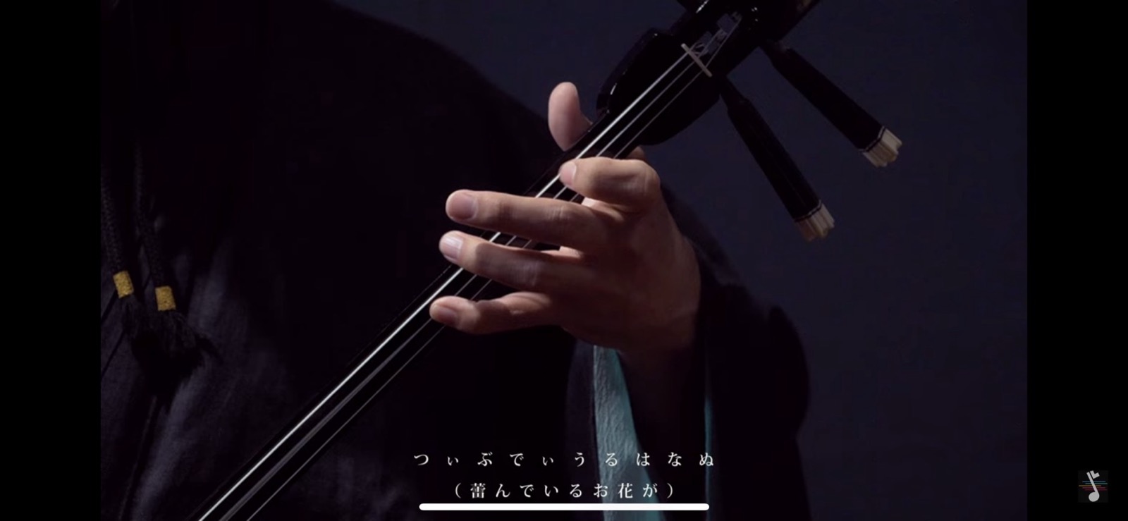 番組内の歌三線の演奏カット。字幕「つぃぶでぃうる はなぬ（蕾んでいるお花が）」
